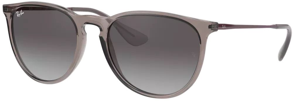 Ray-Ban Erika 4171
